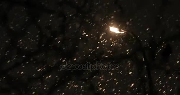 Brutto tempo, pioggia e neve bagnata. riflessi luci notturne. Snowing in the City di notte — Video Stock
