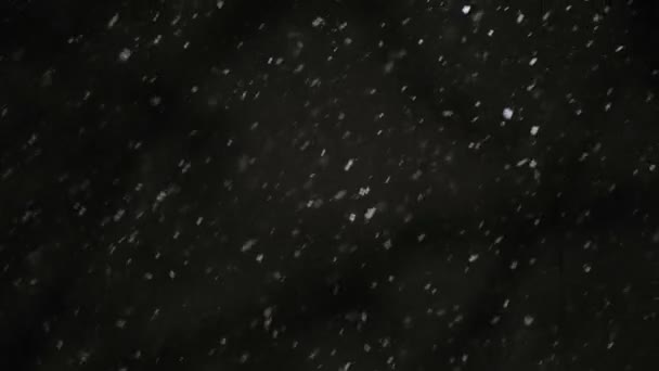 悪天候、雨やぬれた雪。夜の光を反射する。夜の街での雪 — ストック動画