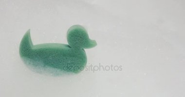 Plastik ördek kopya alanı ile suda yüzen