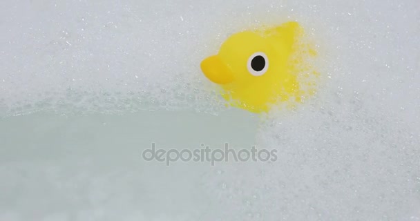 Baño Rubber Ducklingr flota en agua con espacio para copias — Vídeos de Stock
