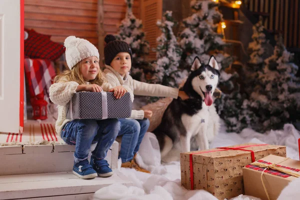 Celebrando la Navidad con su perro en casa. niños juegan con el perro con el árbol de Navidad decorado en el fondo . — Foto de Stock