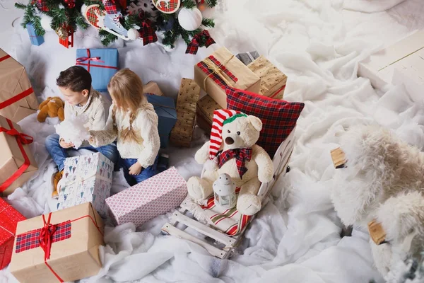 Niños juegan con perros junto al árbol de Navidad — Foto de Stock