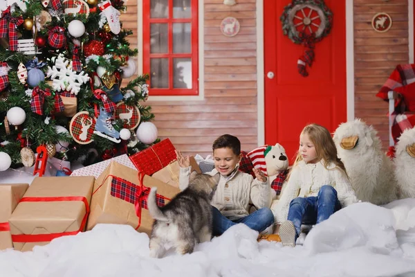 Los niños felices están tirados en el suelo cerca del árbol de Navidad y abrazando al perro. Están mirando a la cámara y sonriendo . — Foto de Stock
