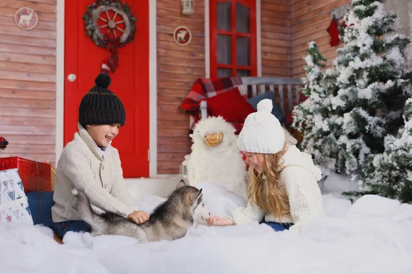 Celebrando la Navidad con su perro en casa. niños juegan con el perro con el árbol de Navidad decorado en el fondo . — Foto de Stock