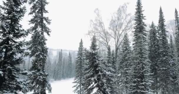 AERIAL: Bosque de invierno. Invierno en montañas — Vídeos de Stock