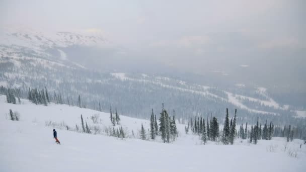 AÉRIAL : Forêt d'hiver. Hiver en montagne avec snowboarder — Video