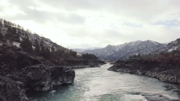 空撮。美しい山川を飛んでいます。航空カメラで撮影します。風景パノラマ。高速移動川の眺め。アルタイ、シベリア. — ストック動画