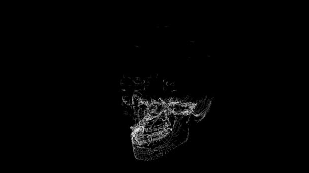 Grid of Human Skull animation. Futuristic wireframe skull rotation. skull concept — Stock Video