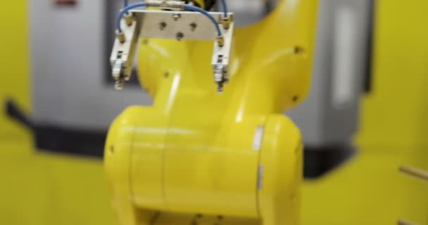 Βιομηχανικά ρομπότ βραχίονα ενεργό σε εργοστάσιο. — Αρχείο Βίντεο