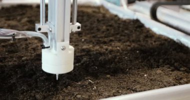 Bitkiler ağaçlar içinde sera, dikim otomatik. Modern robotik teknolojiler.