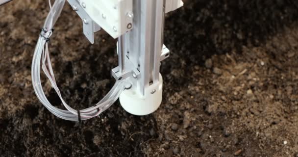 Plantación automática de Plantas Árboles en el Invernadero. Tecnologías robóticas modernas . — Vídeos de Stock