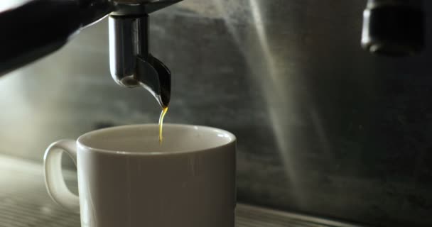Making Fresh coffee. Barista makes coffee in coffee bar. Coffee machine making cappuccino espresso coffee — Stock Video