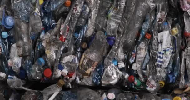 Garrafas de plástico usadas na fábrica de processamento de reciclagem de lixo para reutilizar plástico . — Vídeo de Stock