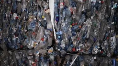 Paletlerdeki plastik şişeler, geri dönüşüm fabrikasında yeniden kullanılmak üzere sıralanır.