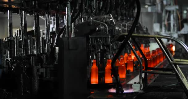 Fabrication avec ligne de convoyage automatisée pour la production de bouteilles en verre . — Video