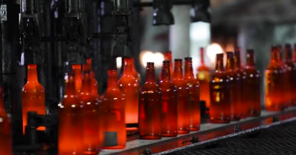 Production of glass bottles on automatic conveyor line in industrial factory. — Stock Video