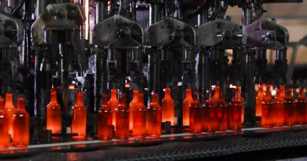 Automated conveyor mashinery line for production of glass bottles in plant. — Stock Video