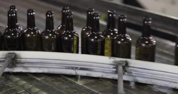 Un montón de botellas verdes de vidrio limpio se mueven a lo largo de la línea de transporte en fábrica . — Vídeos de Stock