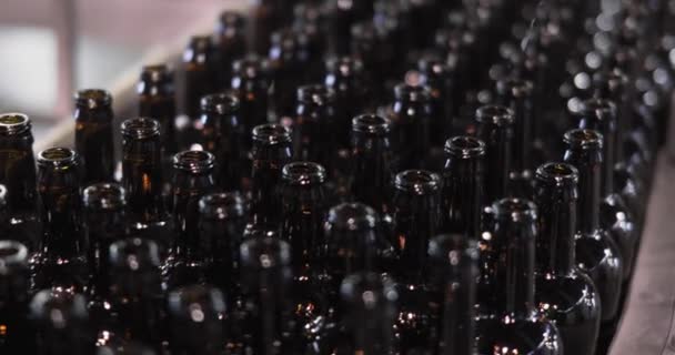 Muitas garrafas de vidro limpo estão se movendo ao longo da linha de transporte na planta, vista close-up . — Vídeo de Stock