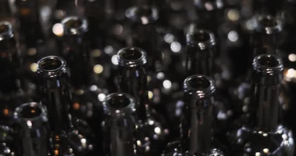 Closeup of many clean glass bottles are moving along conveyor line in factory. — 비디오