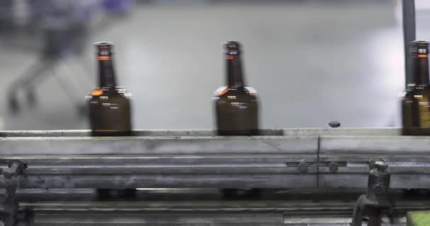 Beaucoup de bouteilles brunes en verre propres se déplacent rapidement le long de la ligne de convoyeur, gros plan . — Video