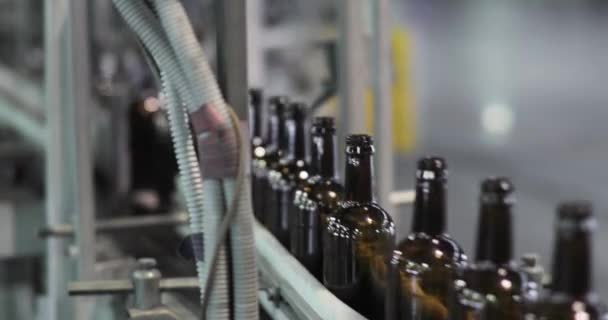 Πολλά καθαρά γυάλινα μπουκάλια μπύρας κινούνται γρήγορα κατά μήκος της γραμμής μεταφοράς, closeup. — Αρχείο Βίντεο
