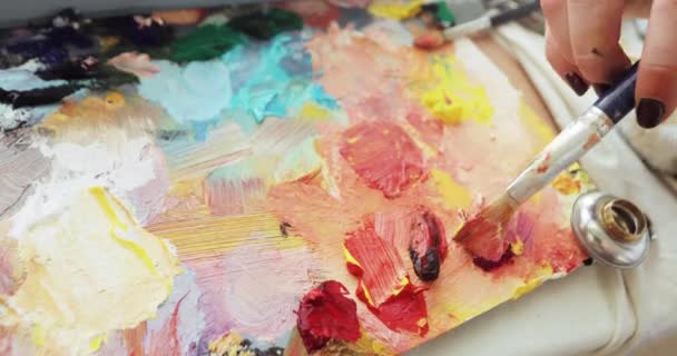 Paintress αναμιγνύει πολύχρωμες ελαιογραφίες στην παλέτα χρησιμοποιώντας πινέλο, χέρι closeup. — Αρχείο Βίντεο