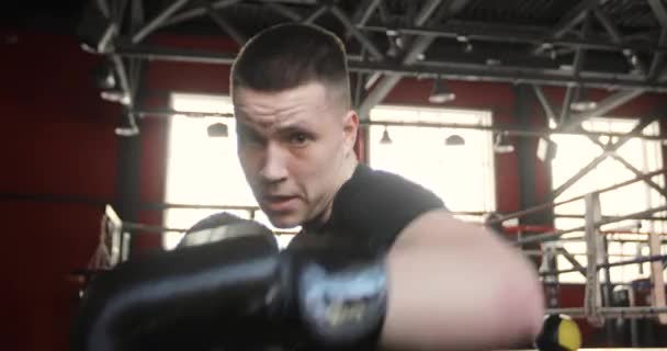 Retrato de boxeador joven en guantes de boxeo y mirando a la cámara en el gimnasio . — Vídeos de Stock