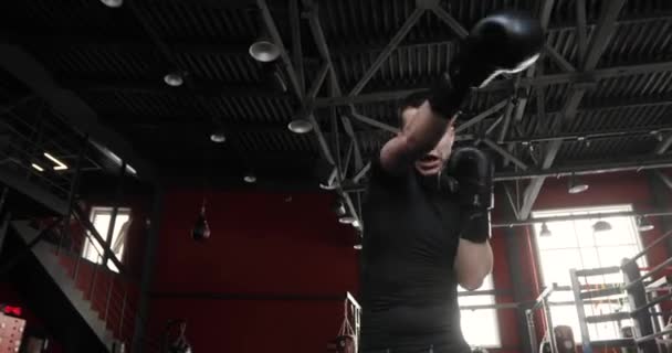 Boxeador joven en guantes de boxeo y mirando a la cámara en el gimnasio, vista inferior . — Vídeos de Stock