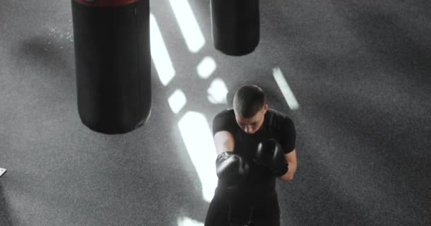 Jonge bokser in handschoenen maakt klappen training boksen in de sportschool, bovenaanzicht. — Stockvideo