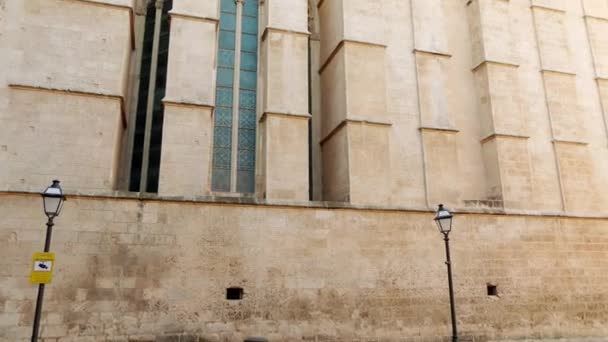 Catedral de Santa María de Palma, más comúnmente conocida como La Seu, es una catedral gótica católica ubicada en Palma, Mallorca, España, construida en el sitio de una mezquita árabe preexistente . — Vídeos de Stock