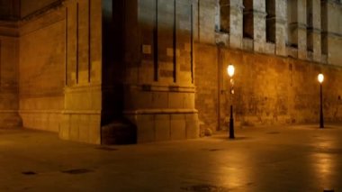 Genellikle La Seu adlandırılan katedral Della Palma, daha fazla olduğunu önceden varolan bir Arap Camii sitede inşa Palma, Majorca, İspanya, içinde bulunan Gotik Roman Katolik Katedrali.