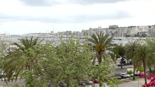 4 k parkeren zeilschepen in Marina Palma, Mallorca, Balearen in Spanje. — Stockvideo