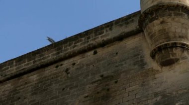 4k Es Baluard olduğunu Palma, İspanya Majorca, Balear Adaları, modern ve Çağdaş Sanat Müzesi. 30 Ocak 2004 tarihinde kurulan, Es Baluard sergileyen Balear sanatçıların çağdaş sanat koleksiyonu.