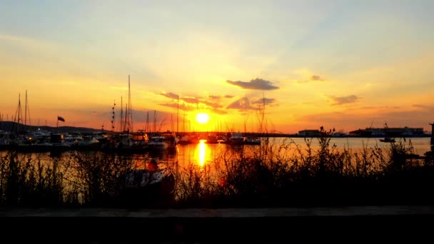 Süzebolu şafakta marina yakınındaki küçük güzel kız yürümek olduğunu dock veya yat ve küçük tekne için takımlar ve moorings Havzası. — Stok video