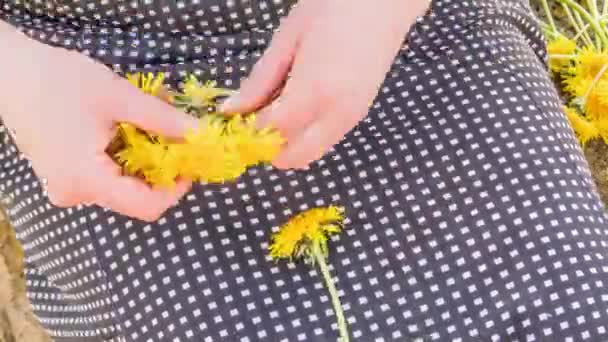 Timelapse: Jonge vrouw weeft een krans van paardebloemen. — Stockvideo