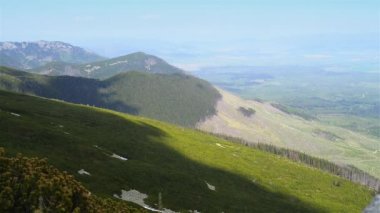 tek başına duran bir kaç çam ağaçları ile Slovakya, tatra Dağları'nın eteklerinde görünümünü.