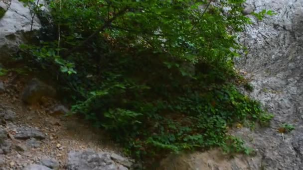 Paklenica Karst River Canyon ist Nationalpark in Kroatien. Es befindet sich in Starigrad, Norddalmatien, am Südhang des Velebit-Gebirges, nicht weit von Zadar entfernt. mala und velika paklenica. — Stockvideo