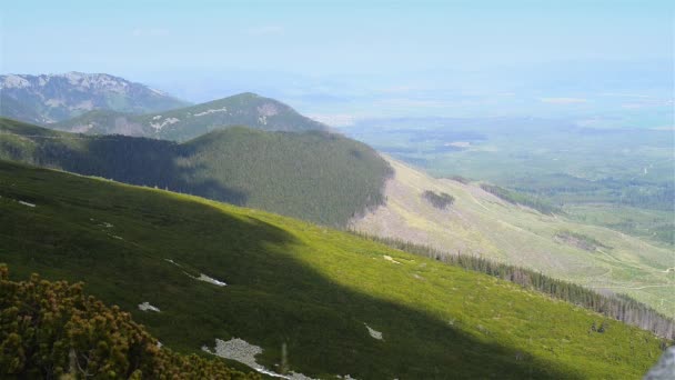 View of the foothills of the Tatra Mountains in Slovakia, with a few pine trees standing alone. — Stock Video