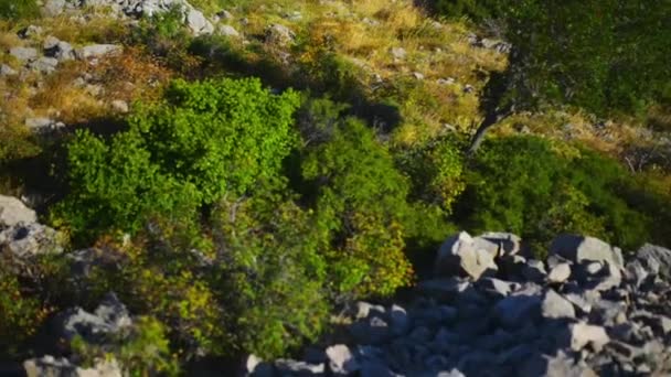 Kroatische Felsenküste an der Adria an einem sonnigen heißen Tag. — Stockvideo