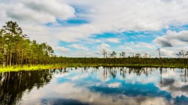 Timelapse 4k: Viru Raba Lahemaa, Estonya'da alanında bataklık.