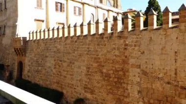 Genellikle La Seu adlandırılan katedral Della Palma, daha fazla olduğunu önceden varolan bir Arap Camii sitede inşa Palma, Majorca, İspanya, içinde bulunan Gotik Roman Katolik Katedrali.