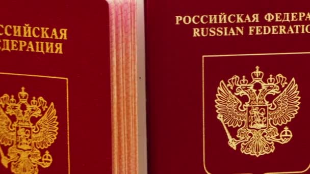 Foreign passports of the Russian Federation with a red cover. — Stock Video