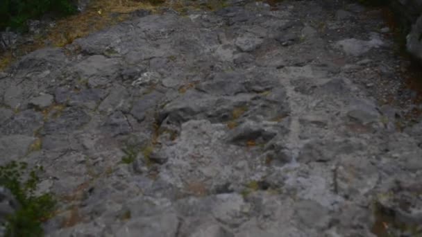 Paklenica canyon fiume carsico è parco nazionale in Croazia. Si trova a Starigrad, Dalmazia settentrionale, alle pendici meridionali del monte Velebit, non lontano da Zara. Mala e Velika Paklenica . — Video Stock