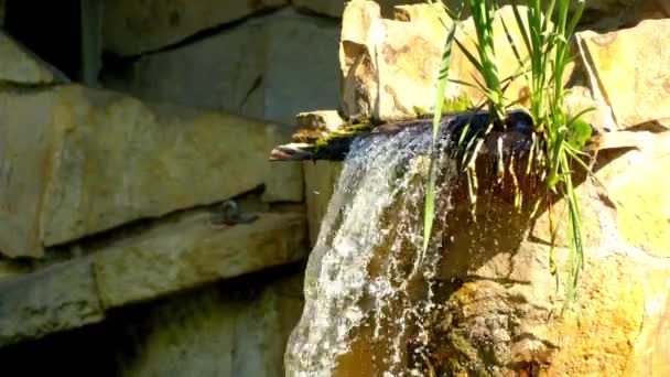 Små vattenfall bland sten klippor i naturskönt område. — Stockvideo