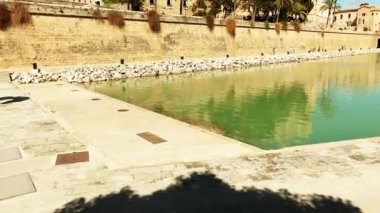 Genellikle La Seu adlandırılan katedral Della Palma, daha fazla olduğunu önceden varolan bir Arap Camii sitede inşa Palma, Majorca, İspanya, içinde bulunan Gotik Roman Katolik Katedrali.