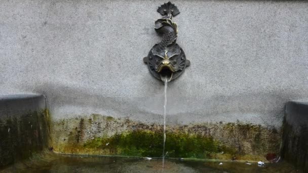 Bron van water voor Nicolaus Copernicus Monument in de vaderstad in Torun — Stockvideo