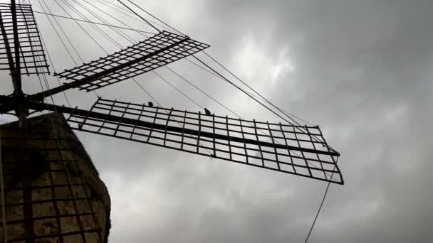 4 k oude molens van El Jonquet. Palma is de hoofdstad en grootste stad op het eiland Mallorca van autonome provincie Balearen in Spanje. — Stockvideo