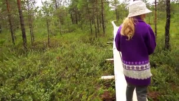 Pequena menina bonita caminha no campo do pântano em Viru Raba em Lahemaa, Estonia . — Vídeo de Stock