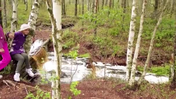 Duas meninas bonitas caminham no campo do pântano em Viru Raba em Lahemaa, Estônia . — Vídeo de Stock
